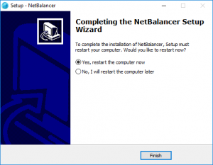 Install NetBalancer (10)