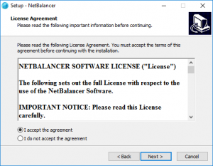 Install NetBalancer (2)