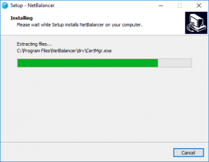 Install NetBalancer (8)